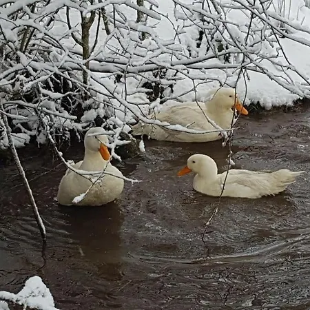 Auverg'nature Auvergnate Nocleg ze śniadaniem Espinasse (Puy-de-Dome)