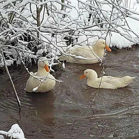 Nocleg ze śniadaniem Auverg'nature Auvergnate 3*